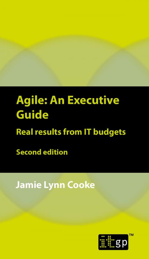 Cover of the book Agile An Executive Guide by Jamie Lynn Cooke, IT Governance Publishing
