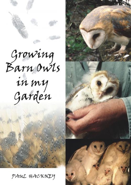 Cover of the book Growing Barn Owls in My Garden by Paul Hackney, Whittles Publishing