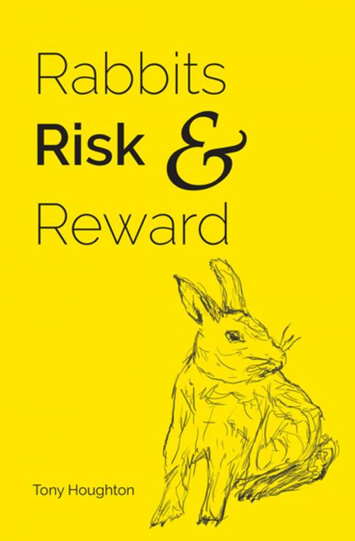 Cover of the book Rabbits Risk & Reward by Tony Houghton, Matthew James Publishing