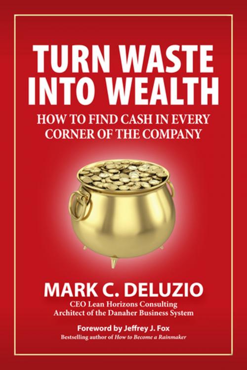 Cover of the book Turn Waste into Wealth by Mark C. DeLuzio, Maven House