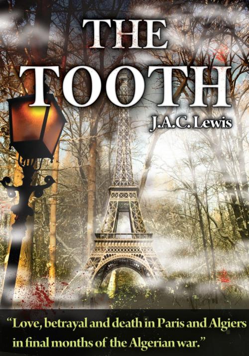 Cover of the book The Tooth by J.A.C. Lewis, Publish Green