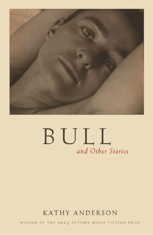 Cover of the book Bull by Kathy Anderson, Autumn House Press