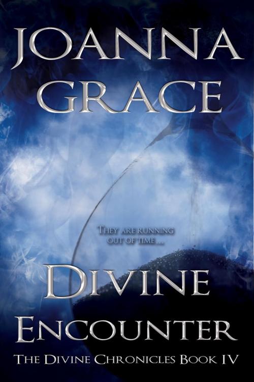 Cover of the book Divine Encounter, The Divine Chronicles #4 by JoAnna Grace, Y&R Publishing, LLC