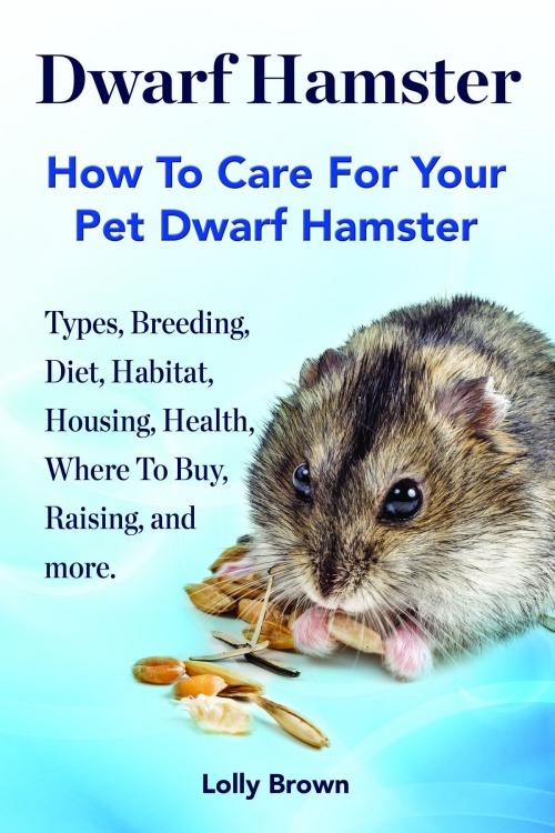 Cover of the book Dwarf Hamster by Lolly Brown, NRB Publishing