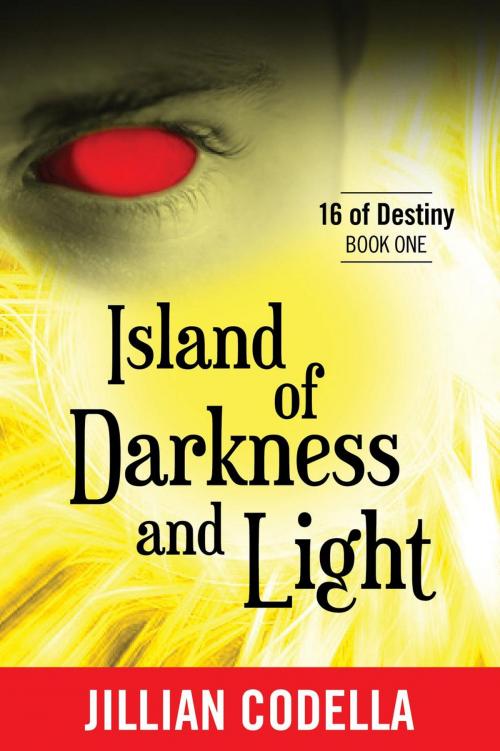 Cover of the book Island of Darkness and Light by Jillian Codella, thewordverve inc