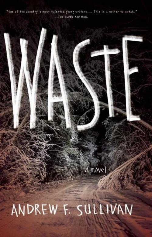 Cover of the book Waste by Andrew F. Sullivan, Dzanc Books