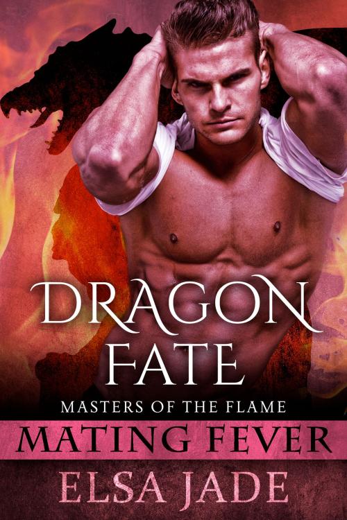 Cover of the book Dragon Fate by Elsa Jade, Red Circle Ink