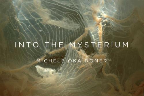 Cover of the book Into the Mysterium by Michele Oka Doner, Regan Arts.