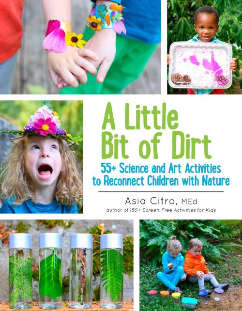 Cover of the book A Little Bit of Dirt by Asia Citro M.Ed., The Innovation Press