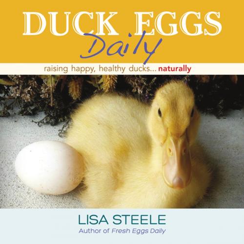 Cover of the book Duck Eggs Daily by Lisa Steele, St. Lynn's Press
