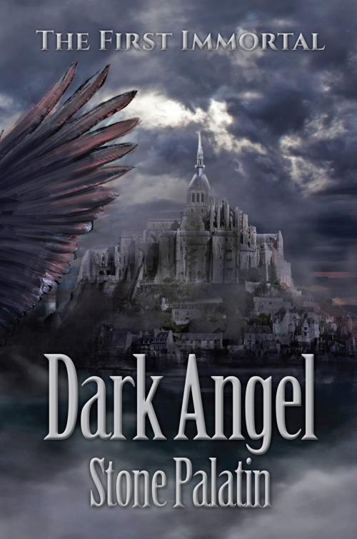 Cover of the book Dark Angel by Stone Palatin, Elm Grove Publishing