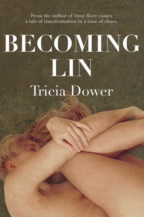 Cover of the book Becoming Lin by Tricia Dower, Caitlin Press
