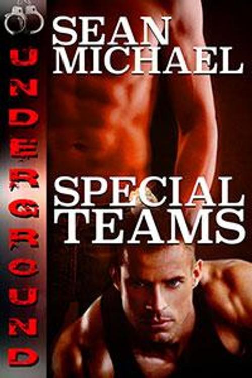 Cover of the book Special Teams by Sean Michael, Sean Michael