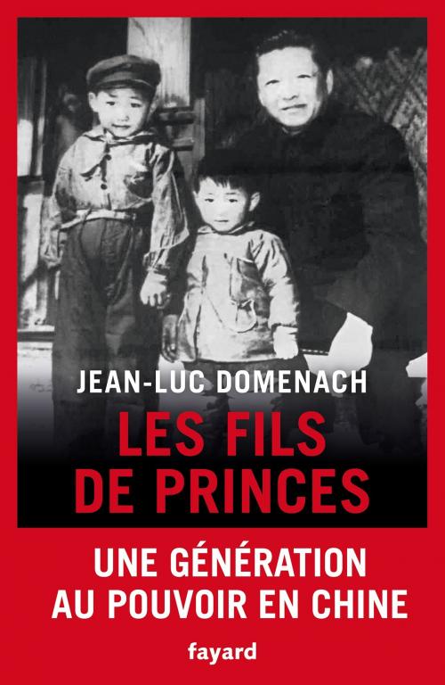 Cover of the book Les fils de princes by Jean-Luc Domenach, Fayard