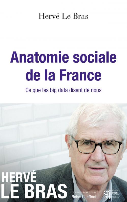 Cover of the book Anatomie sociale de la France by Hervé LE BRAS, Groupe Robert Laffont