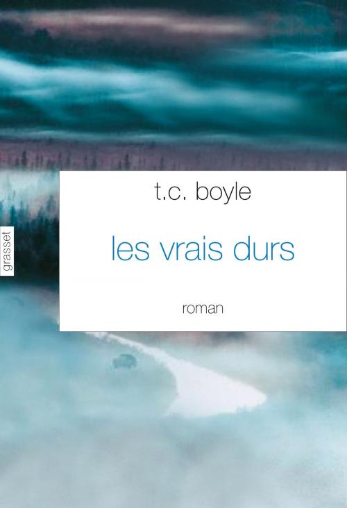 Cover of the book Les vrais durs by T.C. Boyle, Grasset