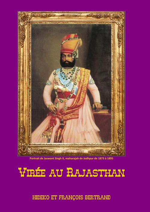 Cover of the book Virée au Rajasthan by Hideko Bertrand, François Bertrand, Books on Demand