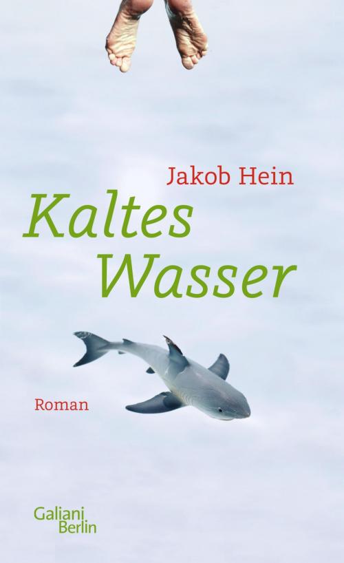 Cover of the book Kaltes Wasser by Jakob Hein, Kiepenheuer & Witsch eBook