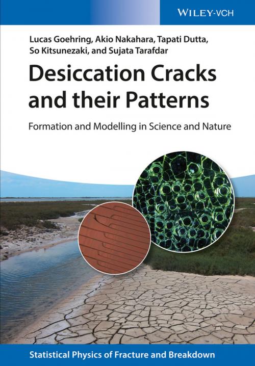 Cover of the book Desiccation Cracks and their Patterns by Lucas Goehring, Akio Nakahara, Tapati Dutta, So Kitsunezaki, Sujata Tarafdar, Wiley