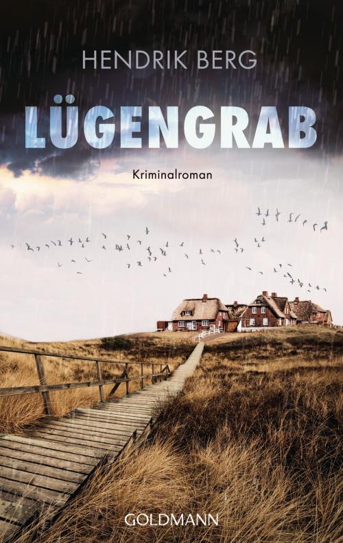 Cover of the book Lügengrab by Hendrik Berg, Goldmann Verlag
