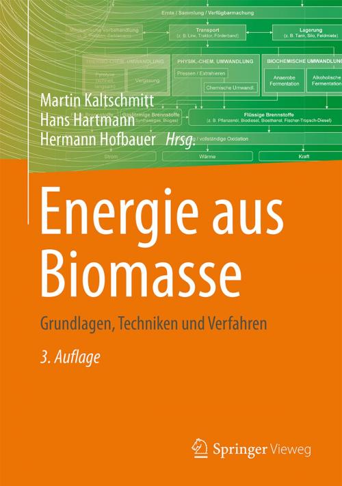 Cover of the book Energie aus Biomasse by , Springer Berlin Heidelberg