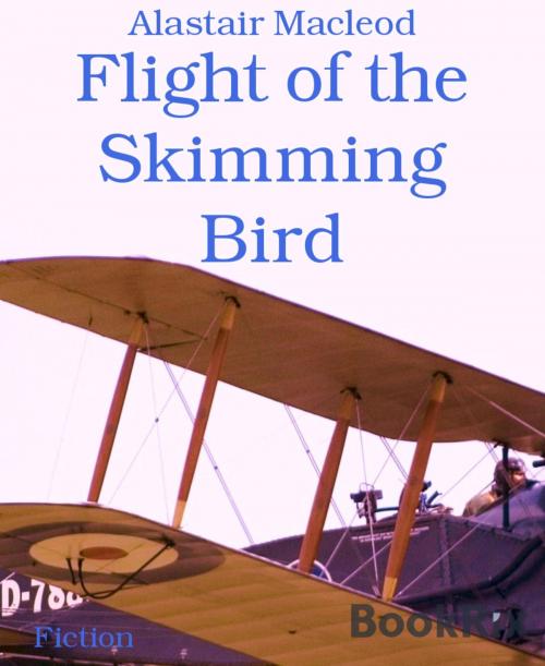 Cover of the book Flight of the Skimming Bird by Alastair Macleod, BookRix