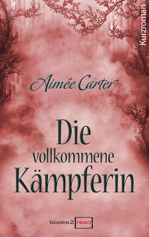 Cover of the book Die vollkommene Kämpferin by Aimée Carter, books2read