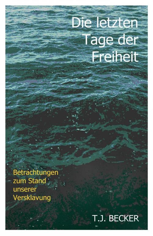 Cover of the book Die letzten Tage der Freiheit by T.J. Becker, epubli