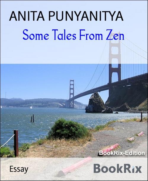 Cover of the book Some Tales From Zen by ANITA PUNYANITYA, BookRix