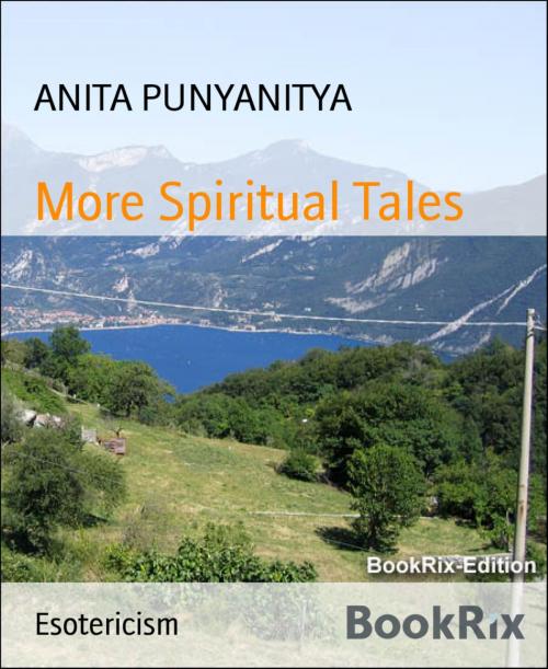 Cover of the book More Spiritual Tales by ANITA PUNYANITYA, BookRix