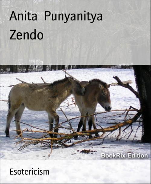 Cover of the book Zendo by Anita Punyanitya, BookRix