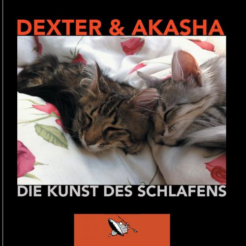 Cover of the book Die Kunst des Schlafens by Axel Gundlach, Books on Demand