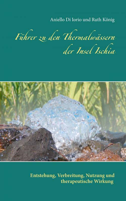 Cover of the book Führer zu den Thermalwässern der Insel Ischia by Ruth König, Aniello Di Iorio, Books on Demand