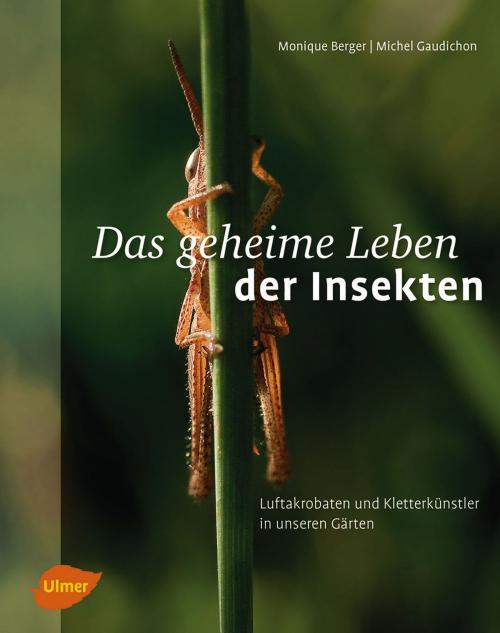 Cover of the book Das geheime Leben der Insekten by Monique Berger, Michel Gaudichon, Verlag Eugen Ulmer
