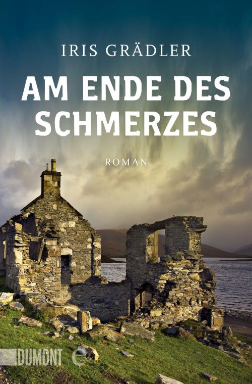 Cover of the book Am Ende des Schmerzes by Iris Grädler, DUMONT Buchverlag