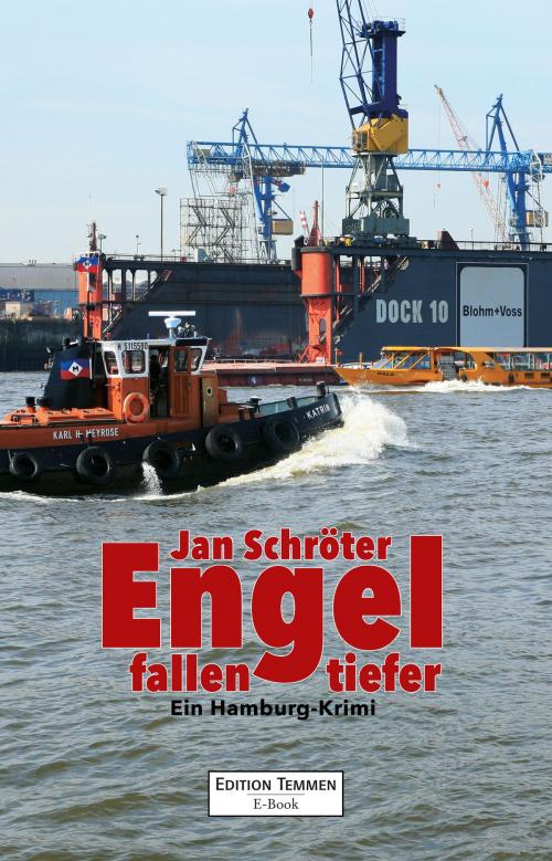 Cover of the book Engel fallen tiefer by Jan Schröter, Edition Temmen
