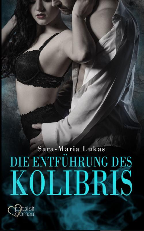 Cover of the book Hard & Heart 1: Die Entführung des Kolibris by Sara-Maria Lukas, Plaisir d'Amour Verlag