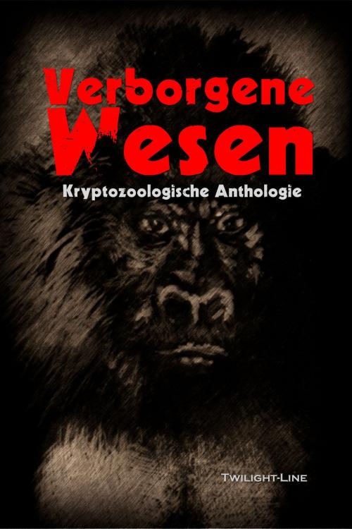 Cover of the book Verborgene Wesen by Anja Müller, Anett Steiner, Andreas Zwengel, Leila Wolf, Thomas Pielke, Marco Ansing, Andrè Timon, Twilight-Line Verlag
