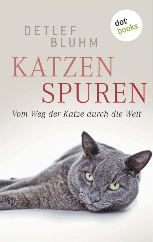 Cover of the book Katzenspuren by Detlef Bluhm, dotbooks GmbH