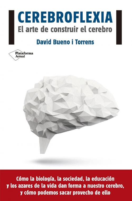 Cover of the book Cerebroflexia by David Bueno i Torrens, Plataforma