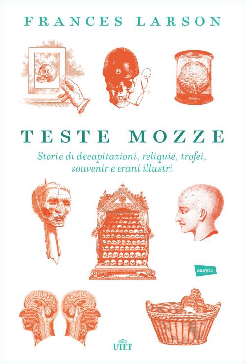 Cover of the book Teste mozze by Frances Larson, UTET