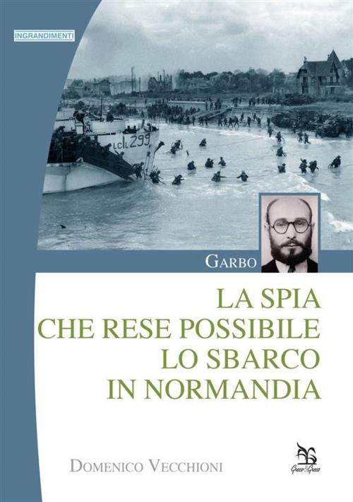 Cover of the book Garbo by Domenico Vecchioni, Greco & Greco Editori