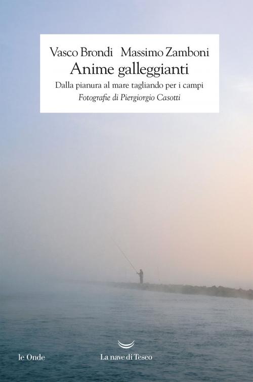 Cover of the book Anime galleggianti by Vasco Brondi, Massimo Zamboni, La nave di Teseo