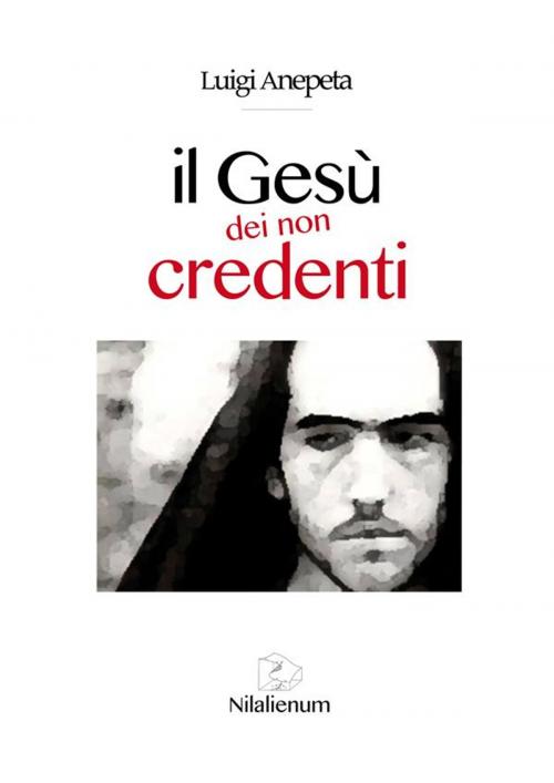 Cover of the book Il Gesù dei non credenti by Luigi Anepeta, Nilalienum Edizioni