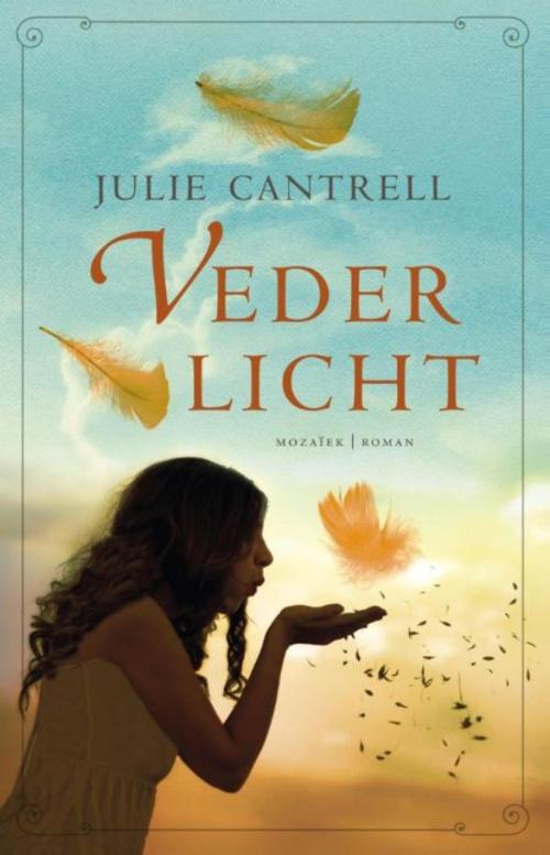 Cover of the book Vederlicht by Julie Cantrell, VBK Media