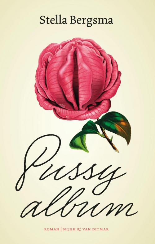 Cover of the book Pussy album by Stella Bergsma, Singel Uitgeverijen