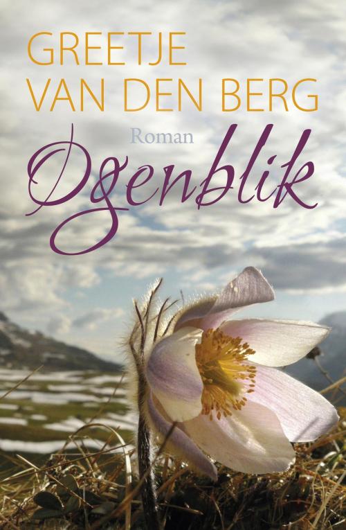 Cover of the book Ogenblik by Greetje van den Berg, VBK Media