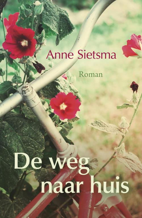 Cover of the book De weg naar huis by Anne Sietsma, VBK Media