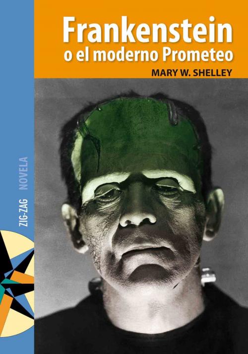 Cover of the book Frankenstein by Mary Shelley, Zig-Zag