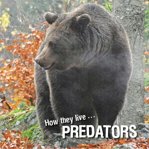 Cover of the book How they live... Predators by David Withrington, Ivan Esenko, Okaši